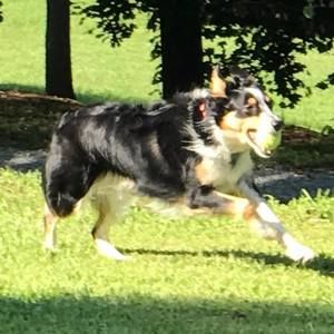 Meet your Posher, Linda